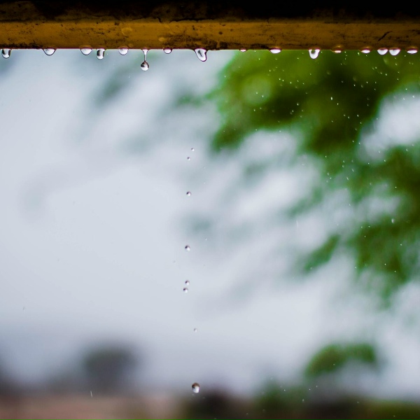 Обложка: Rain Sounds, Rain Sound Studio, Sleep Sounds of Nature - Rains in Waves
