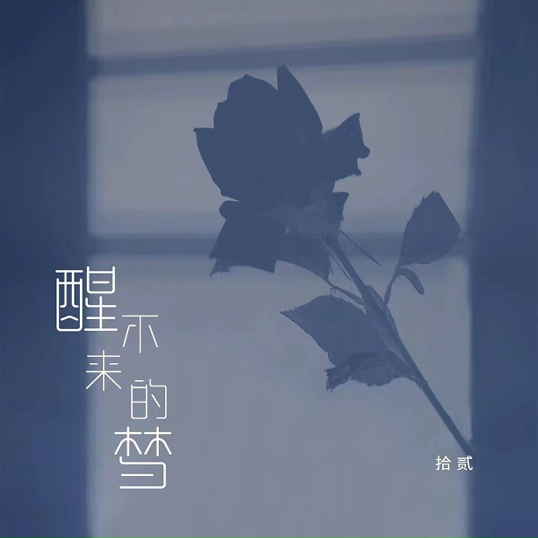 Обложка: 拾贰 - 醒不来的梦