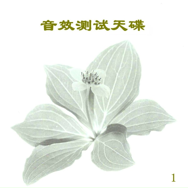 Обложка: 新时代乐队 - 西部交响乐