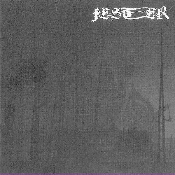 Обложка: Fester - The Conformists