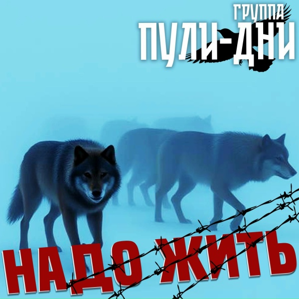 Обложка: Группа Пули-Дни - Не в кипеш