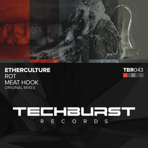 Обложка: Etherculture - Rot