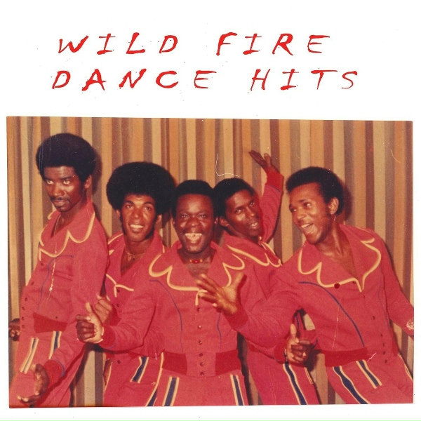 Обложка: Wild Fire - Check It Out