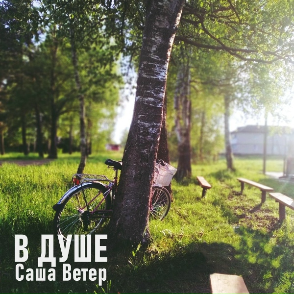 Обложка: Саша Ветер - В душе