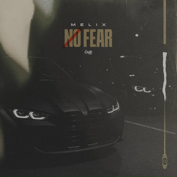 Обложка: MELIX - No Fear