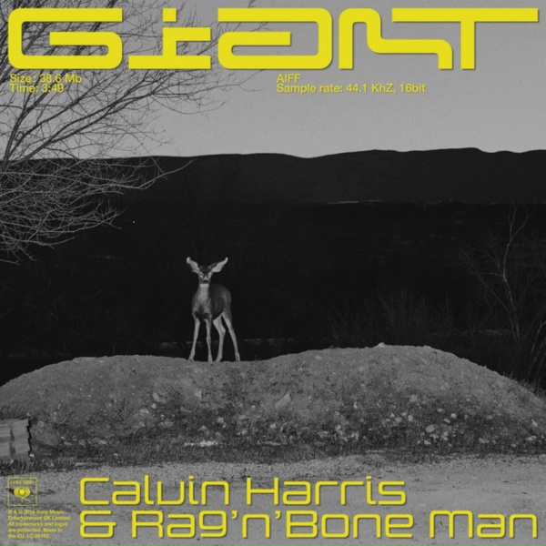 Обложка: Calvin Harris, Rag'n'Bone Man - Giant (with Rag'n'Bone Man)