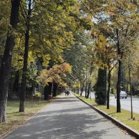 Песни для прогулки